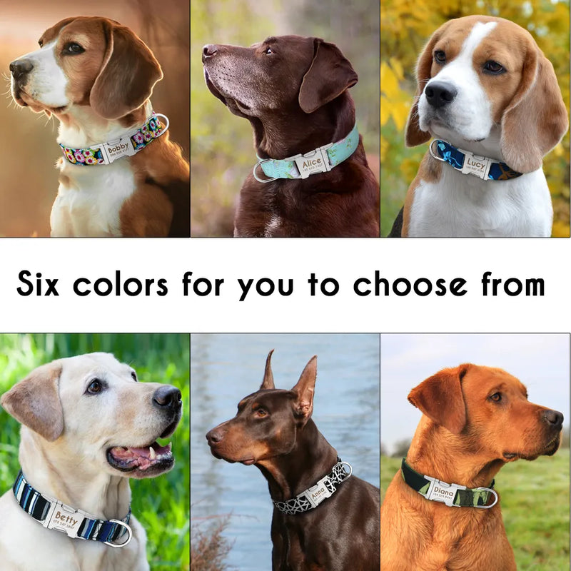 Acessórios personalizados para cães Coleira de nylon para Cães pequeno e médio porte.