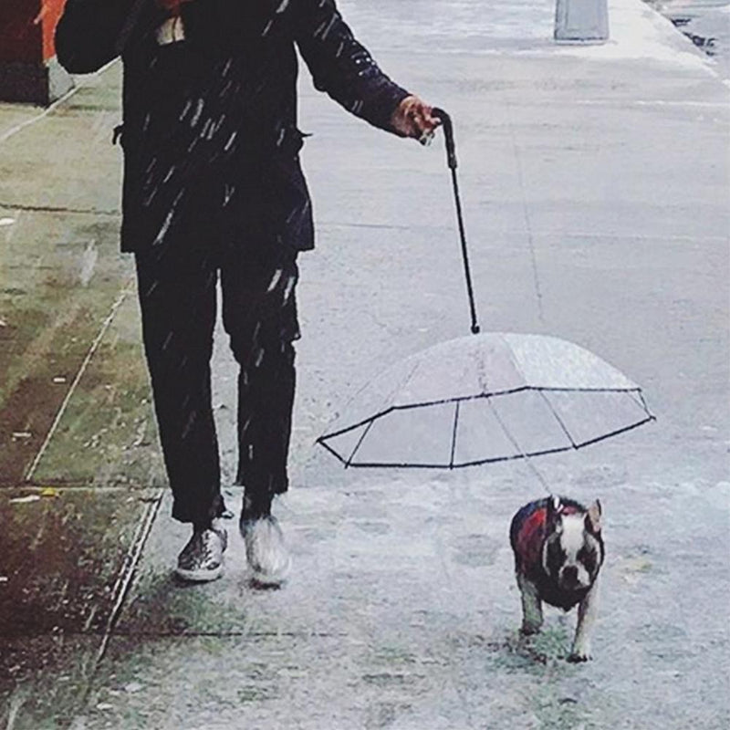 Guarda-chuva para animais de estimação.